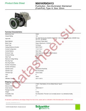 9001KR9GH13 datasheet  